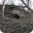 01-02-02 Gypsys Hole from footpath (PW) cropped