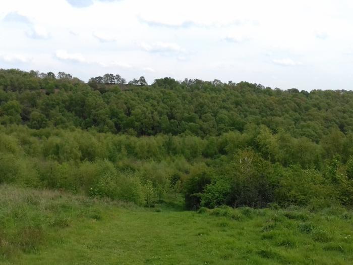 20170430_132052 Snidley Moor from Woodhouse Hill new woodland