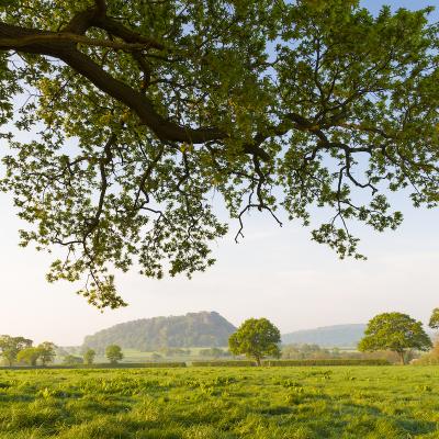 Beeston Castle and Sandstone Ridge Landscape 4