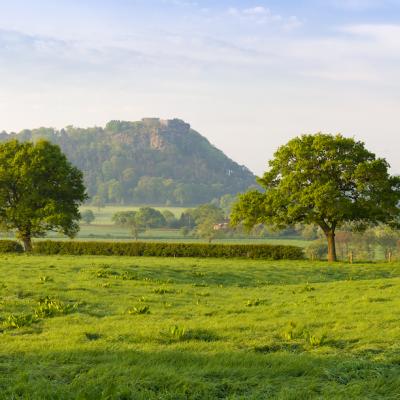 Beeston Castle and Sandstone Ridge Landscape