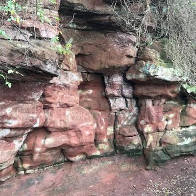 Bickerton Geology Walk