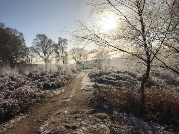 Bickerton Hill