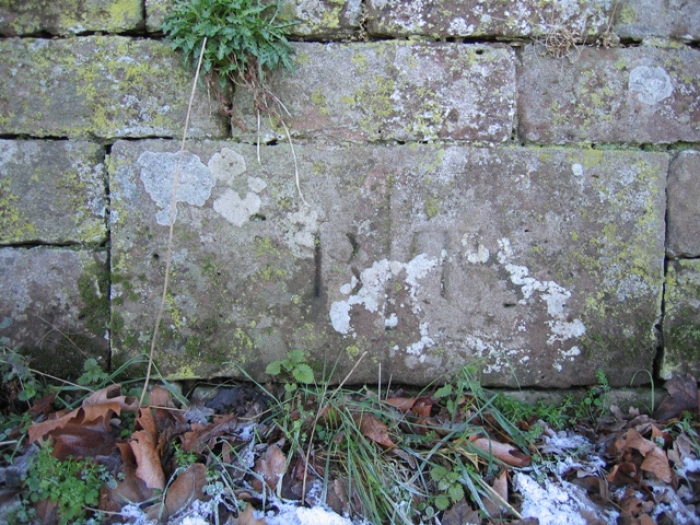 Boundary_Stone_near_Bolesworth_-_geograph_org_uk_-_333456