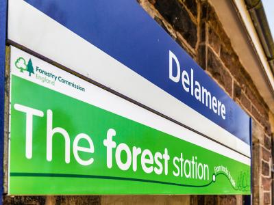 Delamere Forest Station Sign