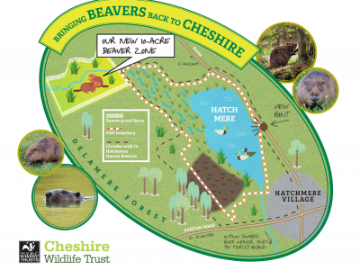 Image: 1597396341_hatchmere_map_graphic