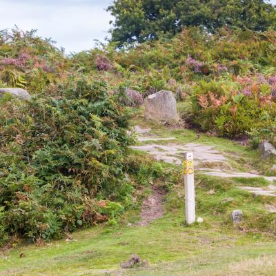 Sandstone Trail