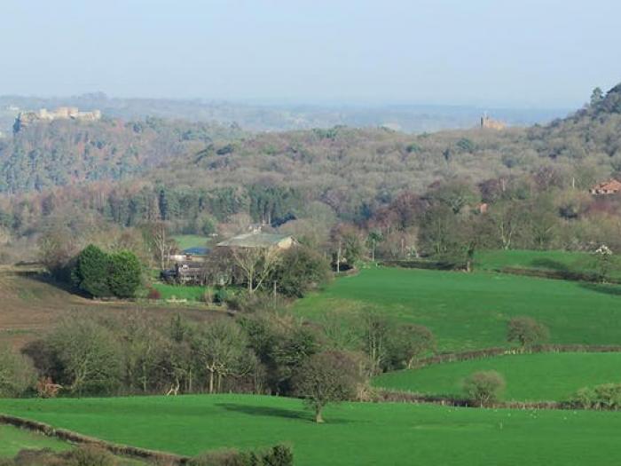 Marie Curie Autumn Walk