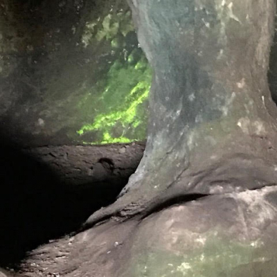 moss upton cave