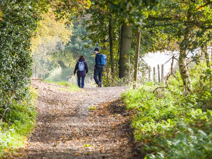 Sandstone Ridge   Walkers in Autumn 49