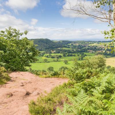 Sandstone Trail view from Bickerton Hill 2