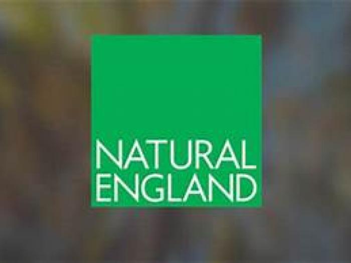 small natural england