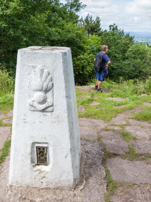 Trig Point crop