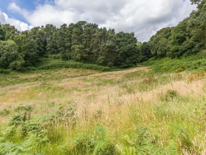 Woodland near Coppermine Lane