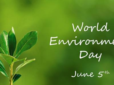 World-Environment-Day copy